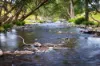 127 Tobins River Road, Mount Seaview, NSW 2446-Image