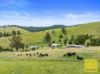 127 Widdons Road, Devon North VIC 3971-Image