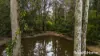 1275 Illaroo Road, Tapitallee, NSW 2540-Image