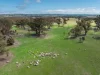1291 Carlwood Road, O'Connell, NSW 2795