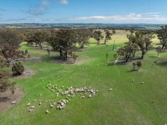 1291 Carlwood Road, O'Connell, NSW 2795