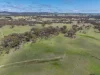 1291 Carlwood Road, O'Connell, NSW 2795-Image