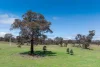 1291 Carlwood Road, O'Connell, NSW 2795-Image