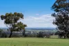 1291 Carlwood Road, O'Connell, NSW 2795-Image