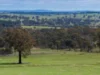 1291 Carlwood Road, O'Connell, NSW 2795-Image