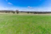 1291 Carlwood Road, O'Connell, NSW 2795-Image