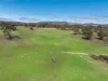 1291 Carlwood Road, O'Connell, NSW 2795-Image