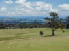 1291 Carlwood Road, O'Connell, NSW 2795-Image