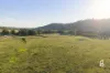 1293 Glendonbrook Road, Glendon Brook, NSW 2330-Image