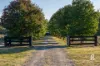 1293 Glendonbrook Road, Glendon Brook, NSW 2330-Image