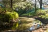 1293 Glendonbrook Road, Glendon Brook, NSW 2330-Image
