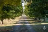 1293 Glendonbrook Road, Glendon Brook, NSW 2330-Image