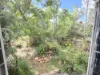 13 Blake Street, Proston, Qld 4613-Image