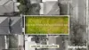 13 Derria Street, Canley Heights, NSW 2166