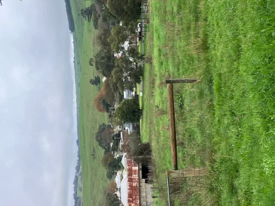 13 Levy, Merino, Vic 3310