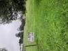 13 Levy, Merino, Vic 3310-Image