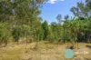 130 Little Widgee Road, Widgee, Qld 4570-Image