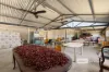 130 Wealand Road, Waroona, WA 6215-Image