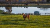 130 Wimpole Road, Bunyip North, Vic 3815-Image