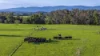 130 Wimpole Road, Bunyip North, Vic 3815-Image
