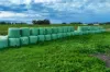 132 Depot Road, Terang, Vic 3264-Image