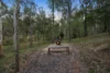 133 George Holt Drive, Mount Crosby, Qld 4306-Image