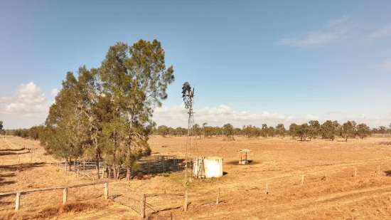 133 Woodford Road, Alton Downs QLD 4702-Image