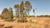 133 Woodford Road, Alton Downs QLD 4702-Image
