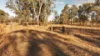 133 Woodford Road, Alton Downs QLD 4702-Image