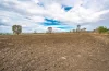 133 Woodford Road, Alton Downs QLD 4702-Image