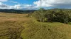 1333 Waukivory Road, Waukivory VIA, Gloucester NSW 2422-Image