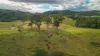 1333 Waukivory Road, Waukivory VIA, Gloucester NSW 2422-Image