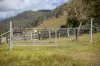 1333 Waukivory Road, Waukivory VIA, Gloucester NSW 2422-Image