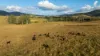 1333 Waukivory Road, Waukivory VIA, Gloucester NSW 2422-Image