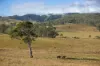 1333 Waukivory Road, Waukivory VIA, Gloucester NSW 2422-Image