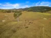 1333 Waukivory Road, Waukivory VIA, Gloucester NSW 2422-Image