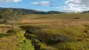 1333 Waukivory Road, Waukivory VIA, Gloucester NSW 2422-Image