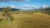 1333 Waukivory Road, Waukivory VIA, Gloucester NSW 2422-Image