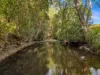 1333 Waukivory Road, Waukivory VIA, Gloucester NSW 2422-Image