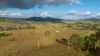 1333 Waukivory Road, Waukivory VIA, Gloucester NSW 2422-Image