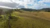 1333 Waukivory Road, Waukivory VIA, Gloucester NSW 2422-Image