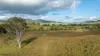 1333 Waukivory Road, Waukivory VIA, Gloucester NSW 2422-Image