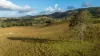 1333 Waukivory Road, Waukivory VIA, Gloucester NSW 2422-Image