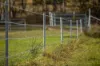 1333 Waukivory Road, Waukivory VIA, Gloucester NSW 2422-Image