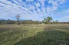 1337 Giants Creek Road, Giants Creek, NSW 2328-Image