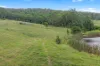 1338 Ebsworth Road, Booral, NSW 2425-Image