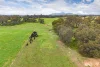 134 Soldiers Road, Barnawartha VIC 3688-Image
