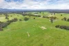 134 Soldiers Road, Barnawartha VIC 3688-Image