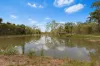 135 Mahogany Road, Talegalla Weir, Qld 4650-Image