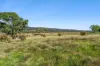 1351 Taralga Road, Tarlo, NSW 2580-Image